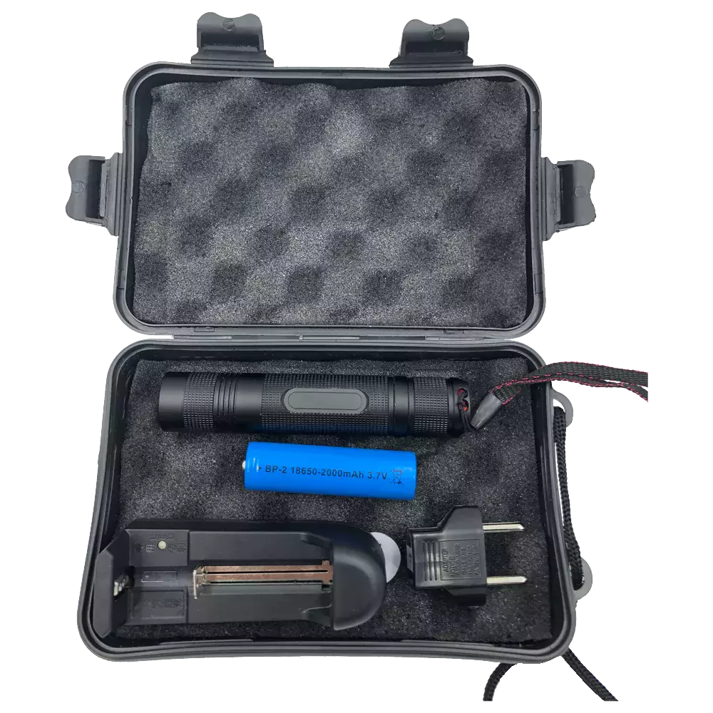 Miniaturebillede 2